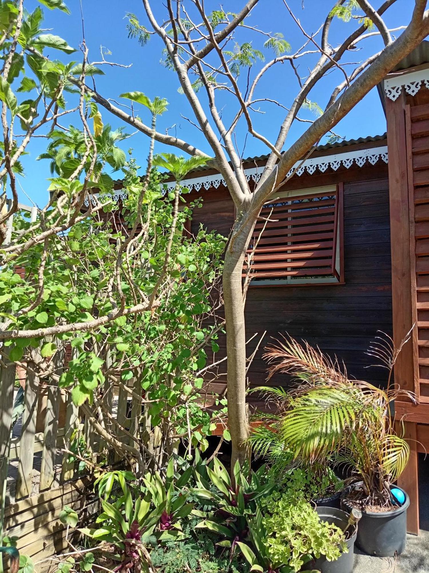 Location Bord Ocean, Holi-Wood Villa Saint-Joseph Ngoại thất bức ảnh